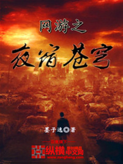 网游之夜宿苍穹笔趣阁