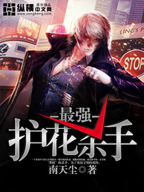 最强护花杀手笔趣阁