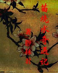 苗烧水奇遇记