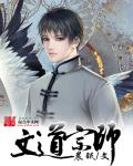 文道宗师笔趣阁