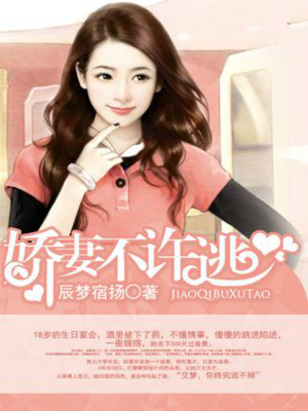 娇妻不许逃笔趣阁