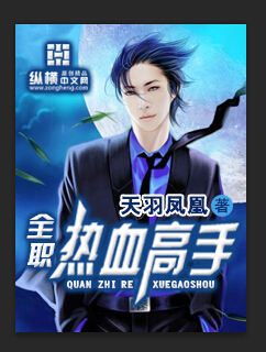全职热血高手笔趣阁