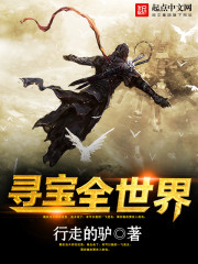 寻宝全世界笔趣阁