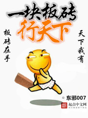 一块板砖行天下笔趣阁