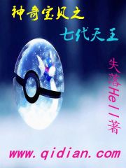 神奇宝贝之七代天王笔趣阁