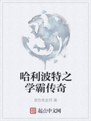 哈利波特之学霸传奇笔趣阁