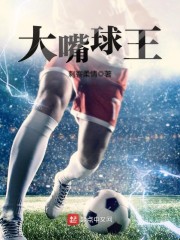 大嘴球王笔趣阁