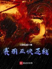 赛丽亚快还钱笔趣阁