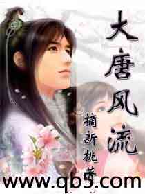 大唐风流笔趣阁