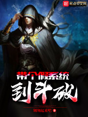 带个假系统到斗破笔趣阁