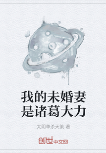 我的未婚妻是诸葛大力笔趣阁