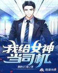 我给女神当司机笔趣阁