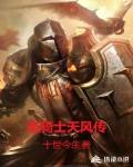 圣骑士天风传笔趣阁
