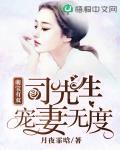 萌宝有双：司先生宠妻无度笔趣阁
