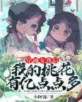 穿越女尊后，我的桃花有亿点点多笔趣阁