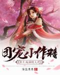 团宠小作精重生成满级大佬笔趣阁