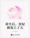 重生后，贵妃被宠上了天笔趣阁