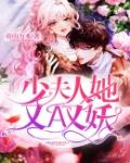 少夫人她又A又妖笔趣阁