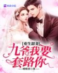 重生甜妻：九爷我要套路你笔趣阁