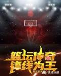 篮坛传奇：锋线为王笔趣阁