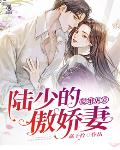 隐婚虐爱：陆少的傲娇妻笔趣阁