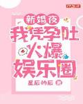 新婚夜，我凭孕吐火爆娱乐圈笔趣阁