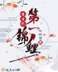 重生之第一锦鲤笔趣阁