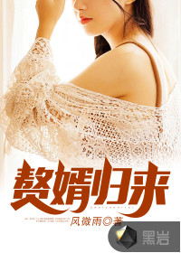 赘婿归来笔趣阁