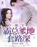 一胎三宝：霸总爹地套路深笔趣阁