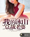 我的冰山总裁老婆笔趣阁