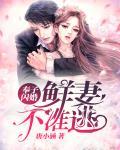 奉子鲜妻不准逃笔趣阁