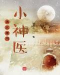 洪武年间小神医笔趣阁
