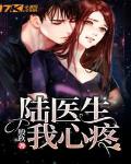 陆医生我心疼笔趣阁