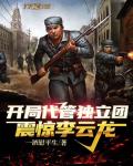 开局代管独立团，震惊李云龙笔趣阁