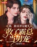我，修真界女魔头，收了霸总当男宠笔趣阁