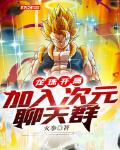 龙珠开局：加入次元聊天群笔趣阁