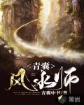青囊风水师笔趣阁