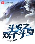 斗罗之双子斗罗笔趣阁