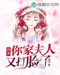 冷少你家夫人又打脸了笔趣阁