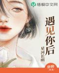 遇见你后星河长明笔趣阁