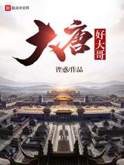 大唐好大哥笔趣阁