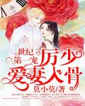 世纪第一宠：厉少爱妻入骨笔趣阁