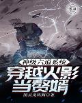 神级六道系统：穿越火影当赘婿笔趣阁