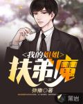 我的姐姐是扶弟魔笔趣阁