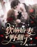 软萌娇妻野翻了笔趣阁