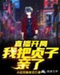 直播开局我把贞子亲了笔趣阁