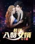 最强入赘女婿笔趣阁