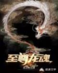 至尊龙魂笔趣阁