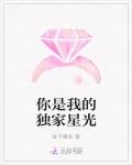 你是我的独家星光笔趣阁