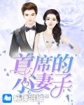 首席的小妻子笔趣阁